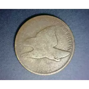 Flying Eagle Small Cents (1856-1858) (2)