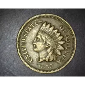 Indian Cent (1859-1909) (2)